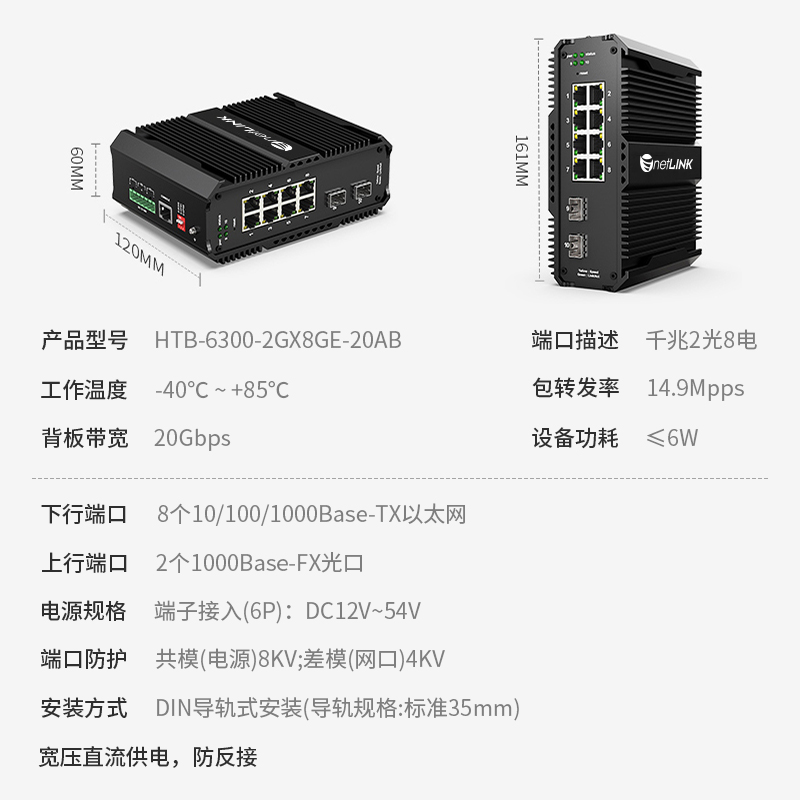 netLINK HTB-6300-2GX8GE-20AB