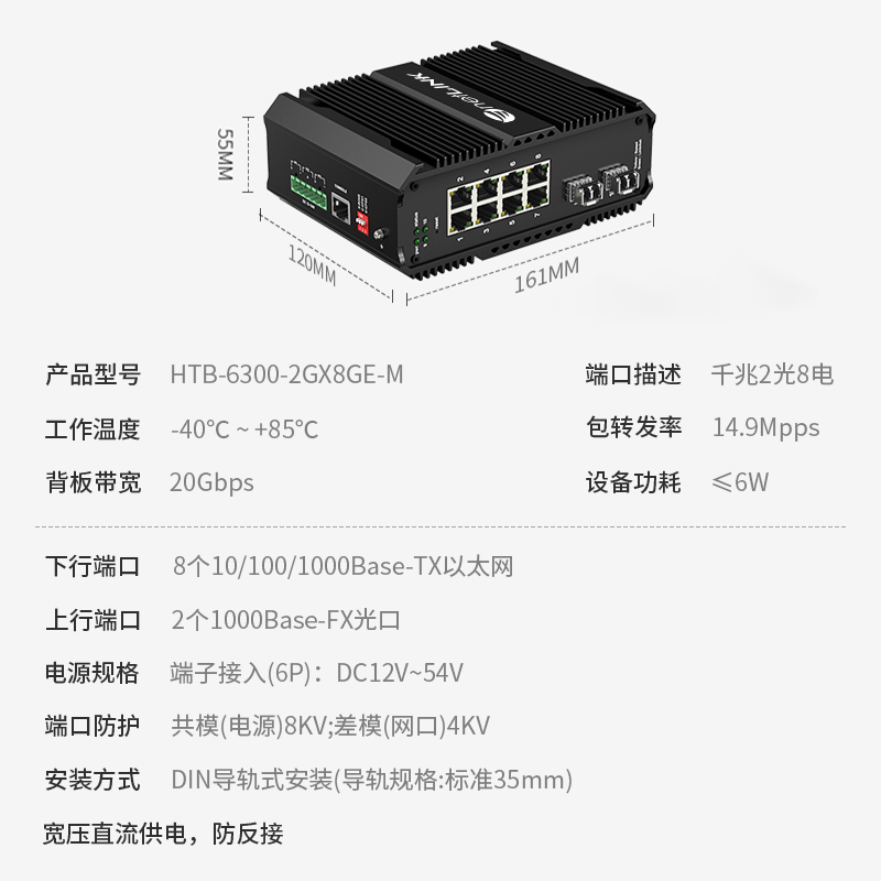 netLINK HTB-6300-2GX8GE-M